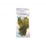 Plumas Amarillas - Imagen 2