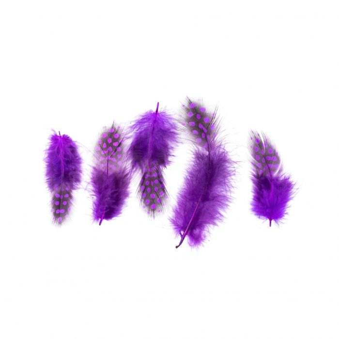 DSC00289-Editar.jpg Plumas Moradas - Imagen 1