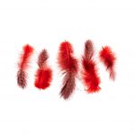 Plumas Rojas