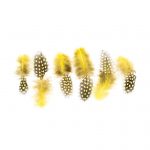 Plumas Amarillas