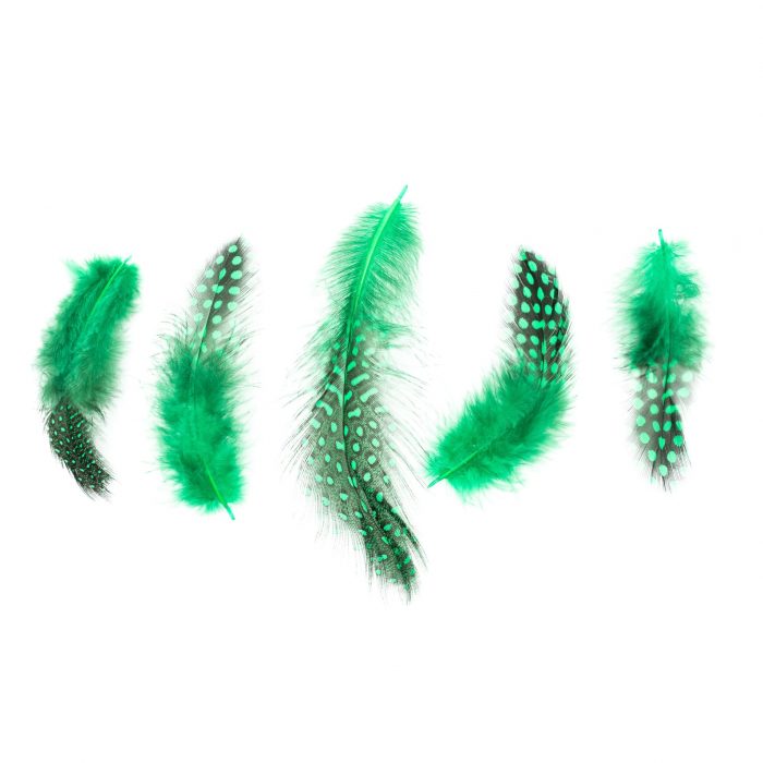 DSC00298-Editar.jpg Plumas Verdes - Imagen 1