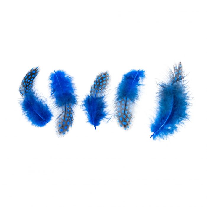 Plumas Azules - Imagen 1