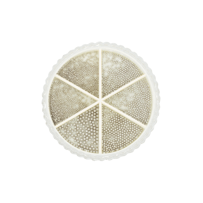 Caviar Silver MIX - Imagen 1