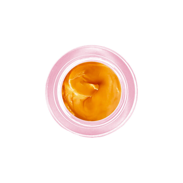 gel-plasticine-2017-birds-of-paradise 2017 - Bird Of Paradise - Imagen 1