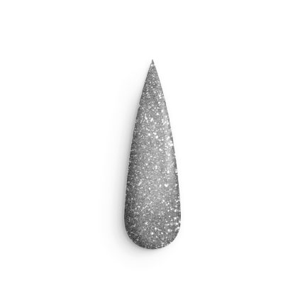 Glitter Holo Silver