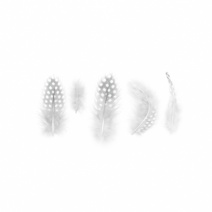 Plumas blancas - Imagen 1